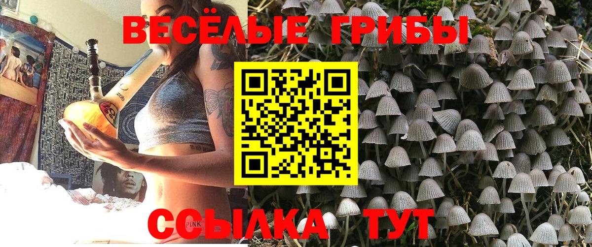 Псилоцибиновые грибы прущие грибы Коммунар